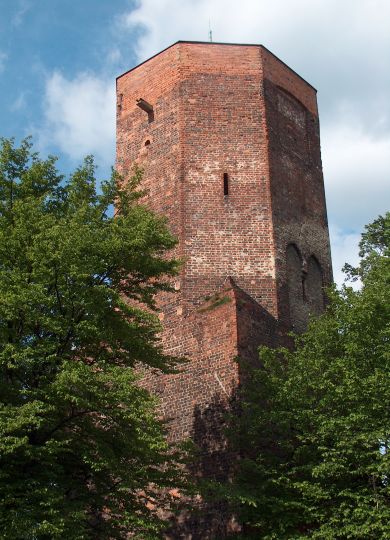 The Castle in Ostrzeszów