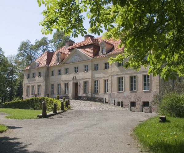 The Palace in Gułtowy