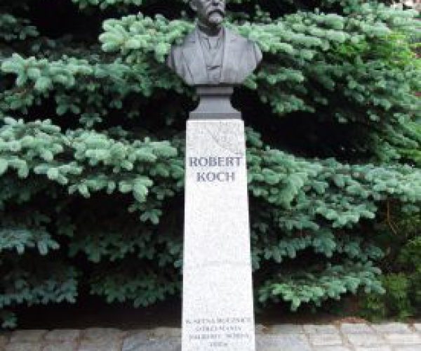 Pomnik Roberta Kocha w Wolsztynie