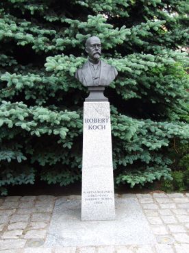 Koch Robert (1843-1910)