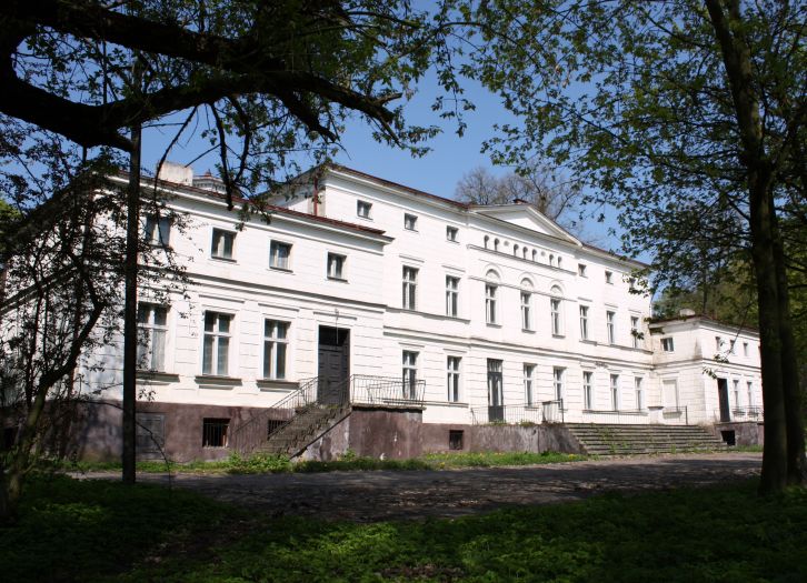 Pałac Czarneckich