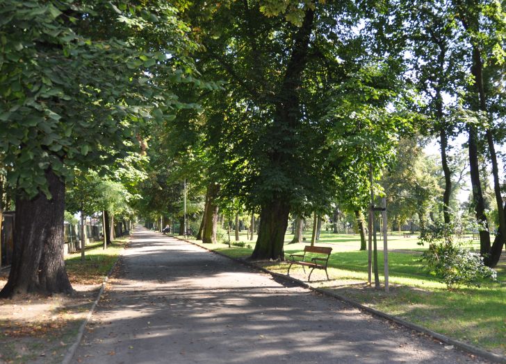 Rawicz Park