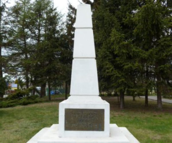 Pomnik P.E. Strzeleckiego na Głuszynie