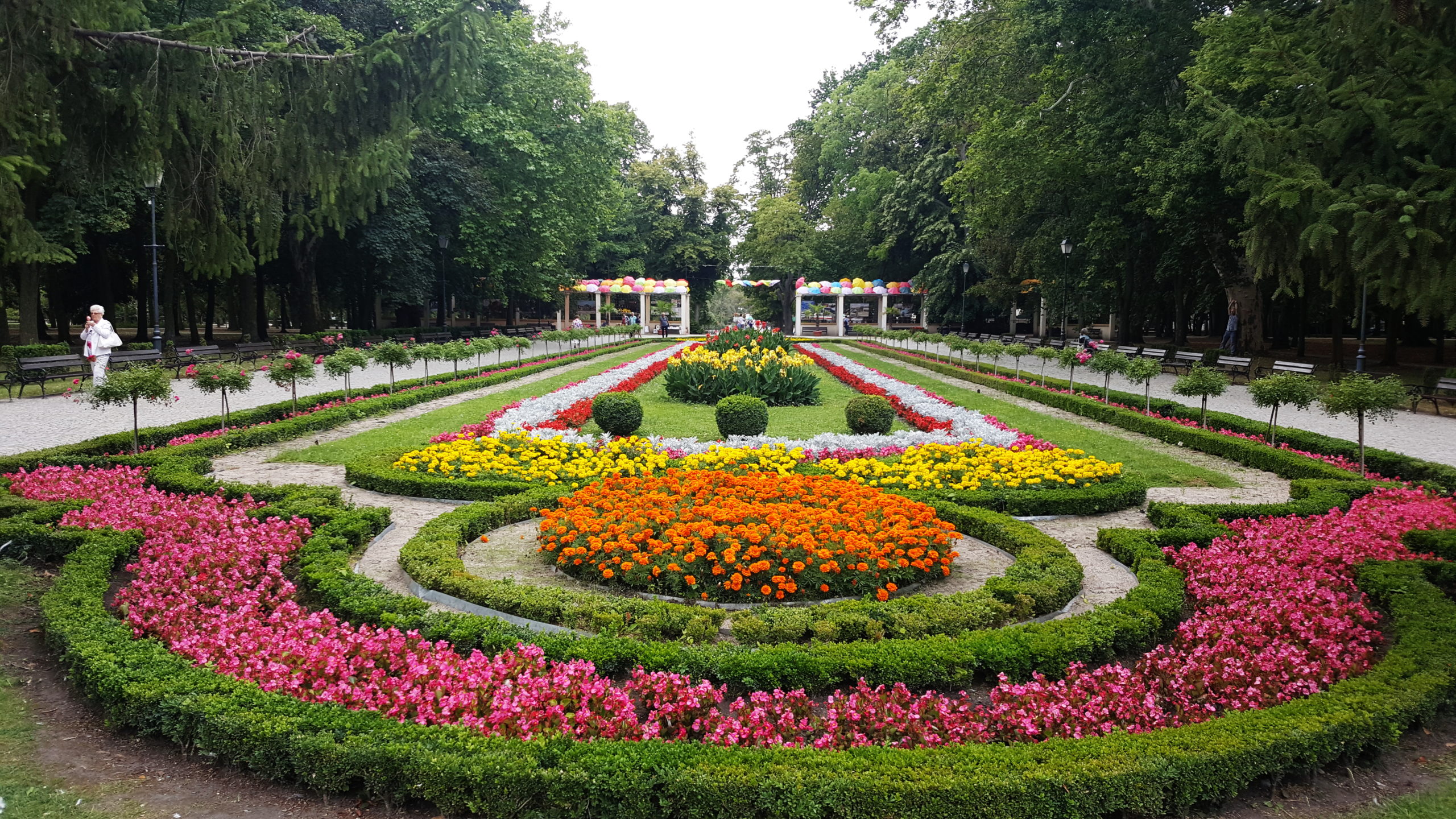 Wielobarwne dywany kwiatowe w parku