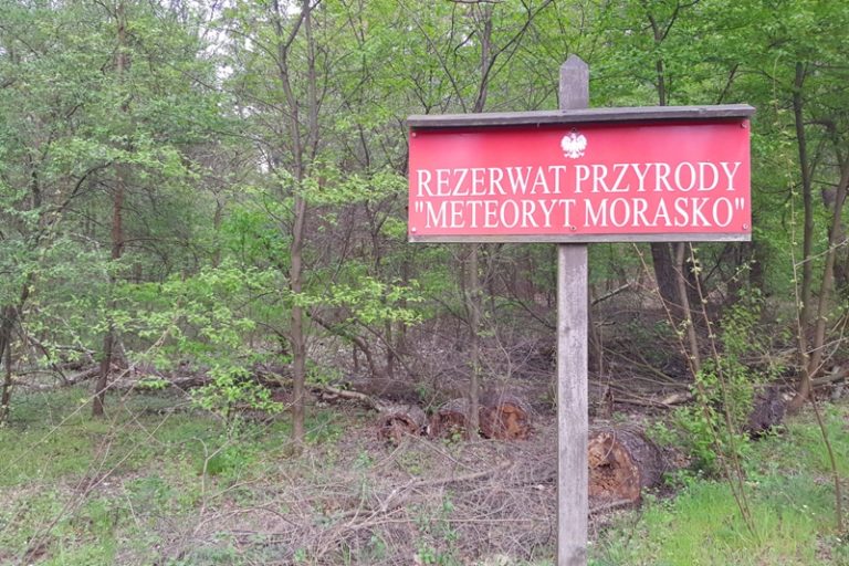Rezerwat Meteoryt Morasko w Poznaniu