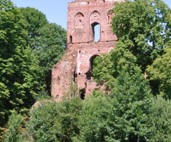 Ruiny zamku w Borysławicach Zamkowych