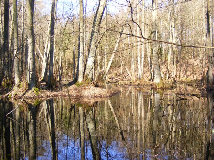 Sierakowski Park Krajobrazowy