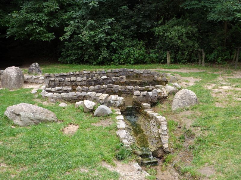 Kamienie wokół źródełka Żarnowiec