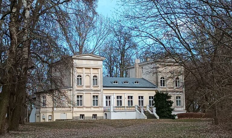 Pałac w Sapowicach