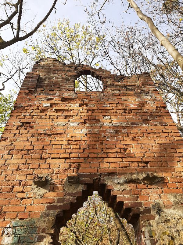 Ruiny w parku w Radojewie
